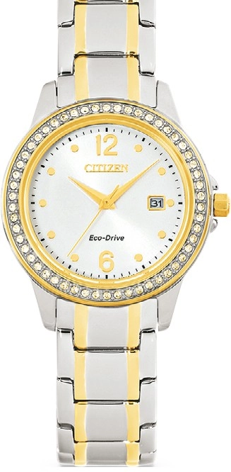 Citizen Eco-Drive (FE1174-50B) Watch