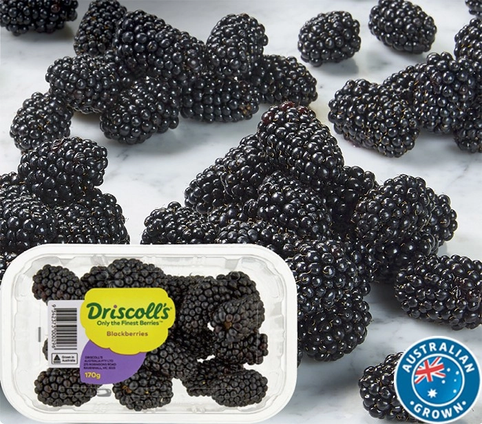 Australian Blackberries 170g Punnet