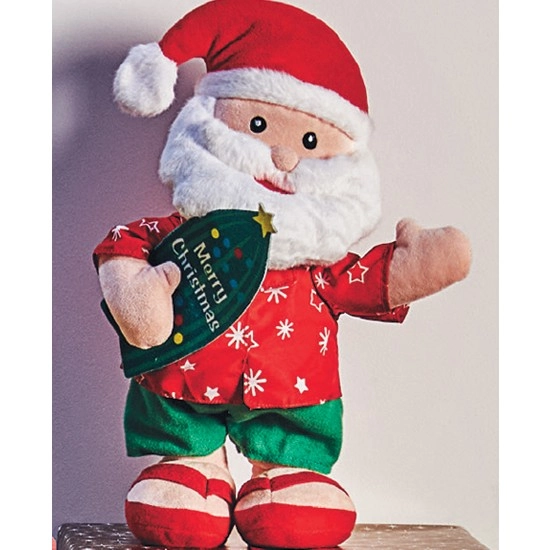 Christmas Animated Santa