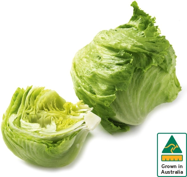 Australian Iceberg Lettuce