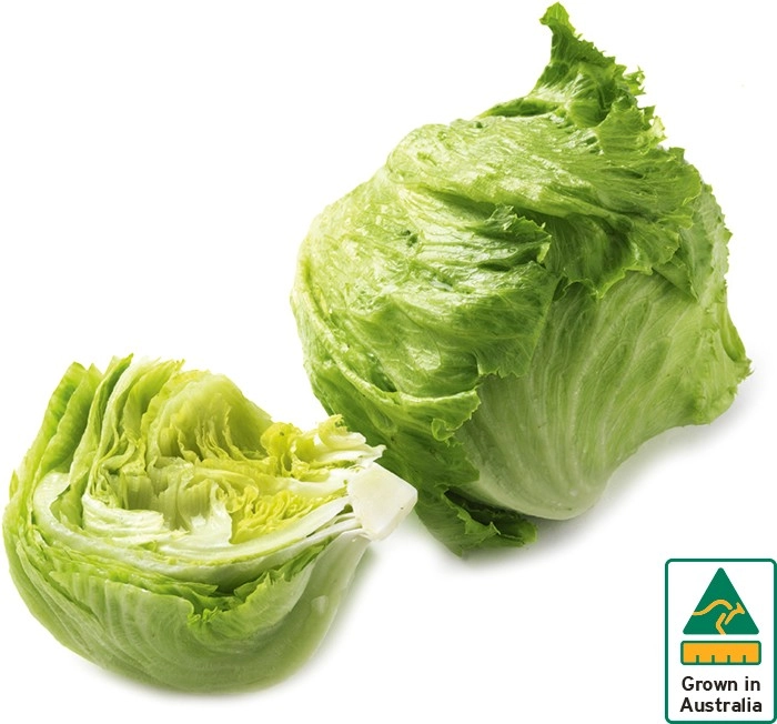 Australian Iceberg Lettuce