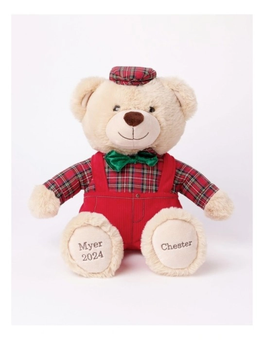 Myer Giftorium Chester 2024 Christmas Charity Bear 40cm