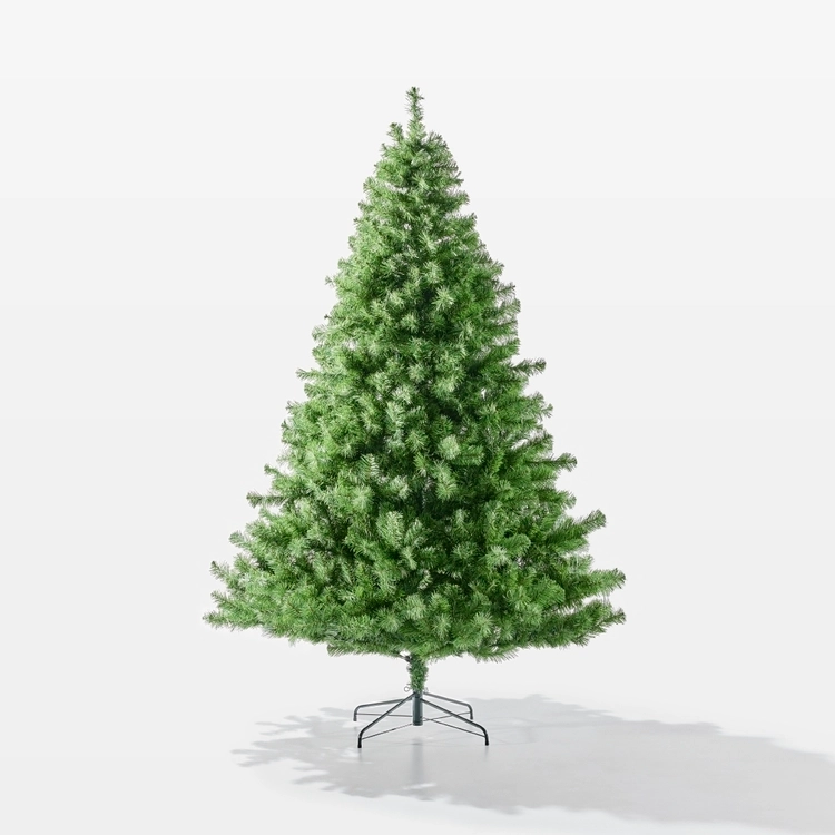 Soren Nordmann Fir Christmas Tree 240 cm