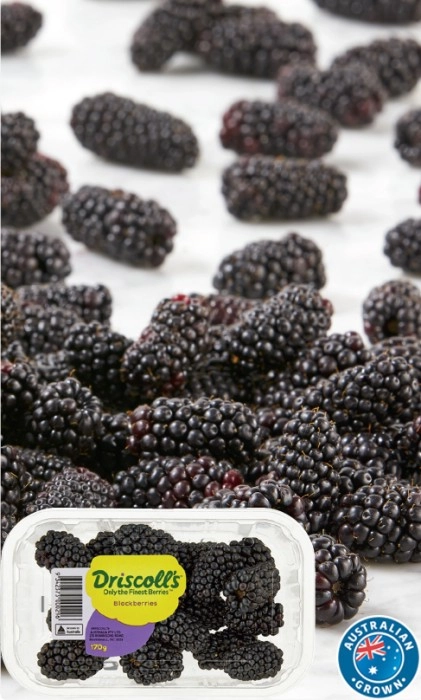 Australian Blackberries 170g Punnet