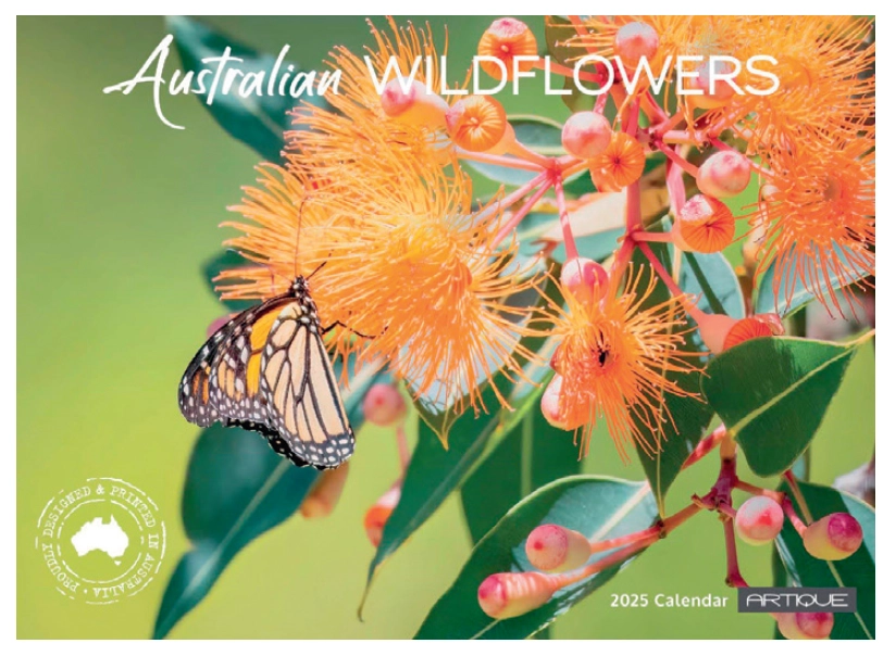 Australian Wildflowers 2025 Calendar