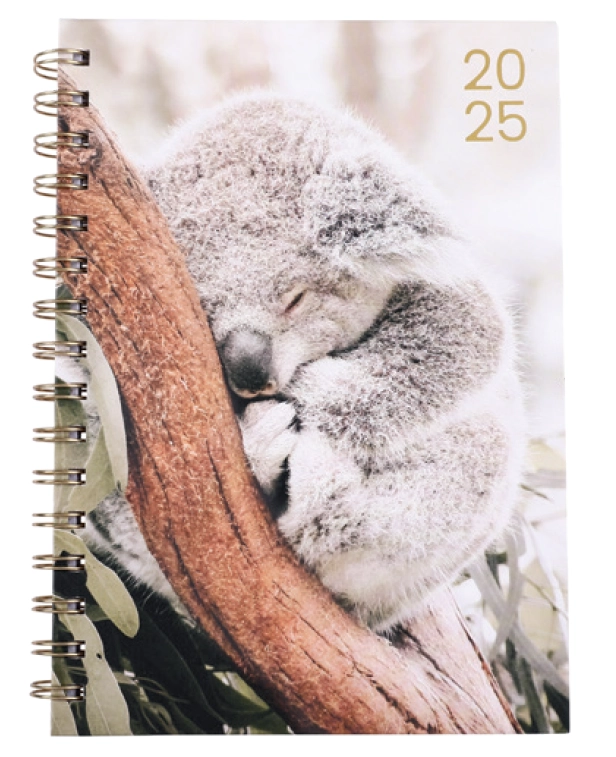 JoyUp A5 Spiral 2025 Koala Diary