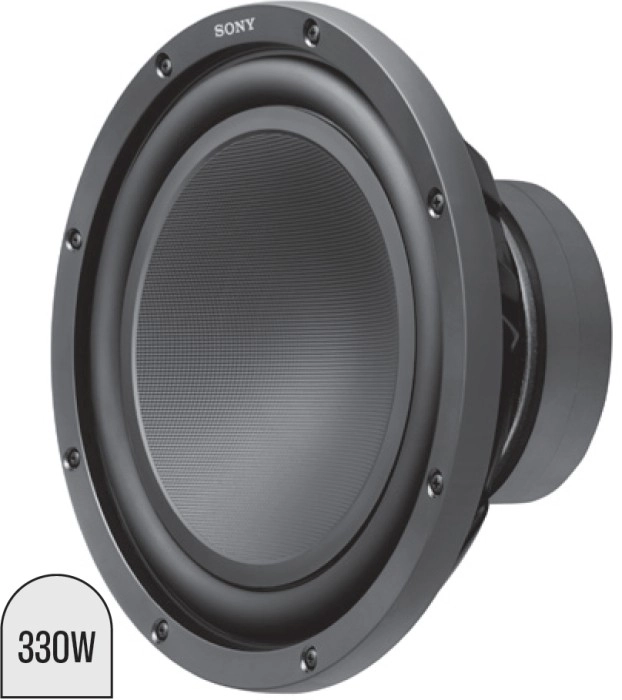 Sony 12” Subwoofer