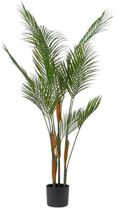 Emerald Hill Phoenix Palm Green Potted Plant 90cm