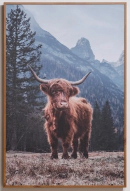 Highland Cow Wall Art