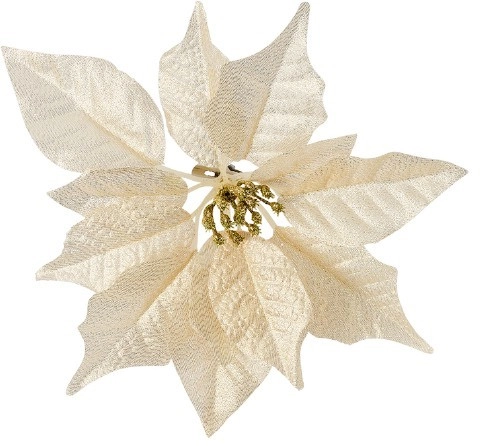 Jolly & Joy Poinsettia Clips Champagne 6 Pack