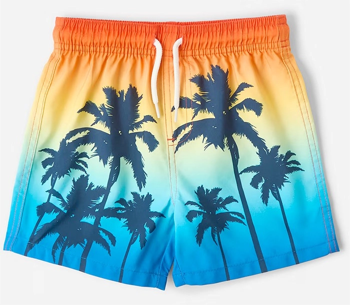 Printed Boardshorts - Multi Ombr