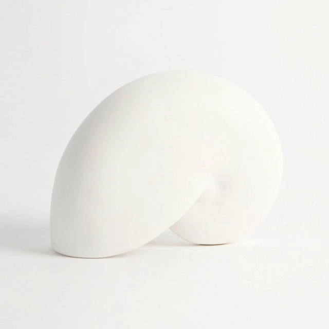 Cora Nautilus Decorative Shell by Habitat