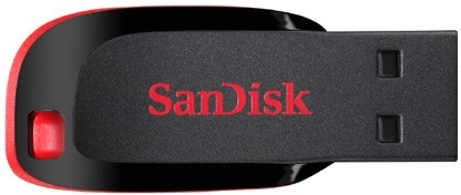 SanDisk 32GB Cruzer Blade USB Flash Drive