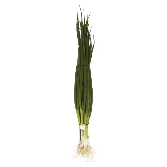 Australian Spring Onions