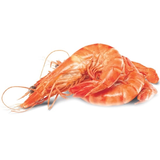 Thawed Extra Large Cooked Australian Tiger Prawns