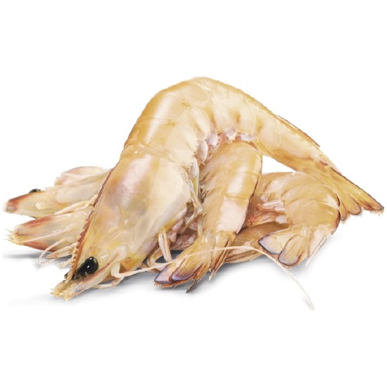 Thawed Large Australian Green Banana Prawns