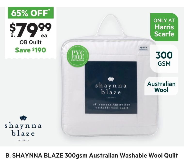 Shaynna Blaze 300 GSM Australian Washable Wool Quilt White