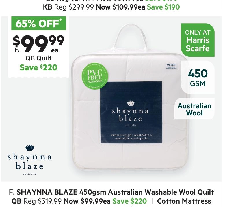 Shaynna Blaze 450 GSM Australian Washable Wool Quilt White