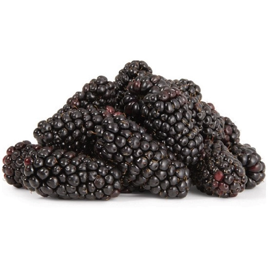 Australian Blackberries 170g Punnet