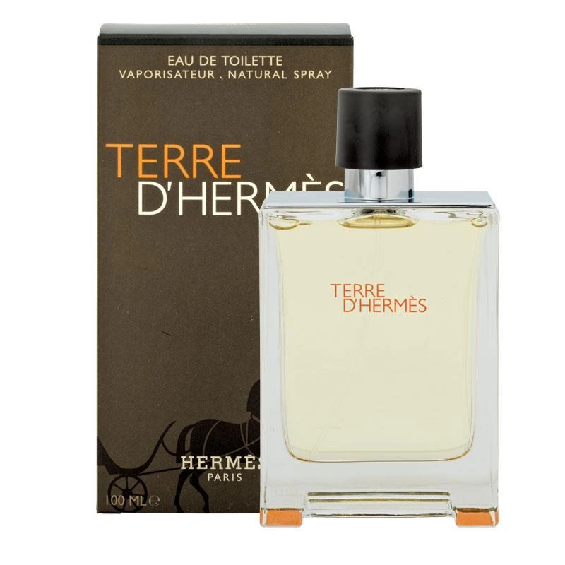 Hermès Terre 100ml EDT