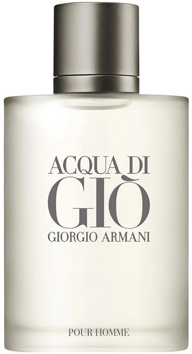 Giorgio Armani Acqua Di Gio Eau de Toilette 100ml