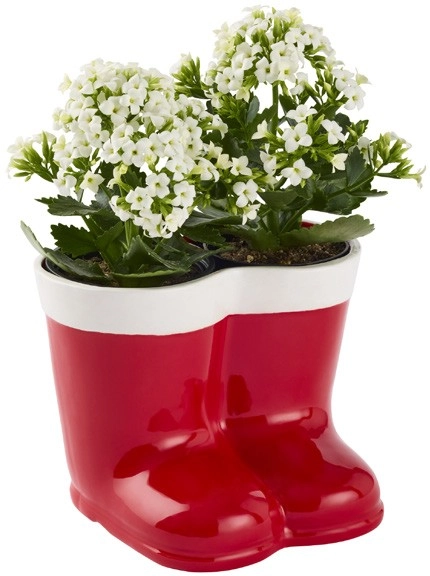 Potted Ceramic Santa Boots