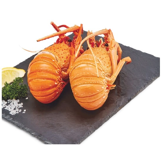 Thawed Cooked WA Rock Lobsters