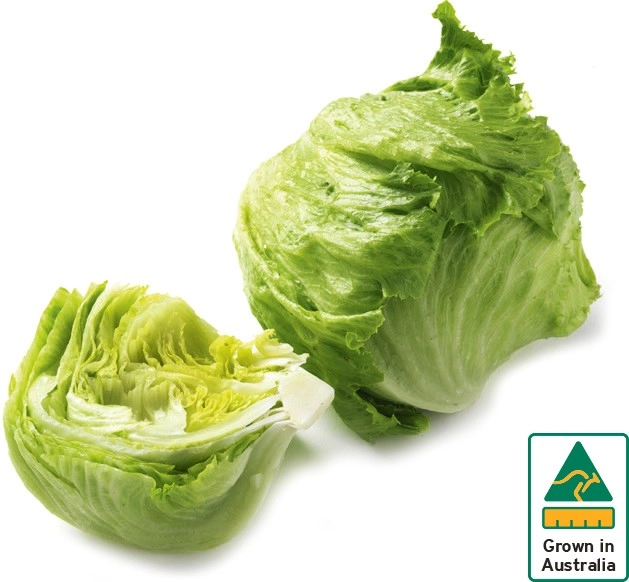 Australian Iceberg Lettuce