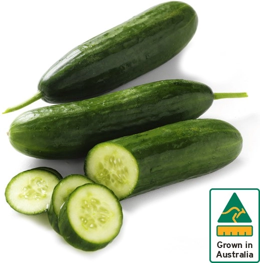 Australian Lebanese Cucumber