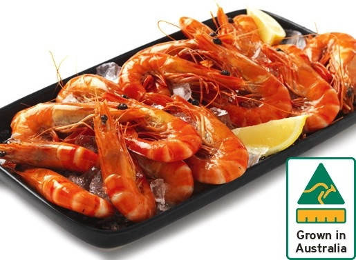 Australian Tiger Prawns