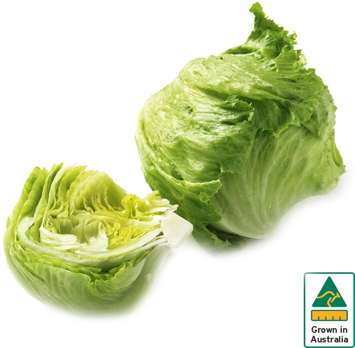 Australian Iceberg Lettuce