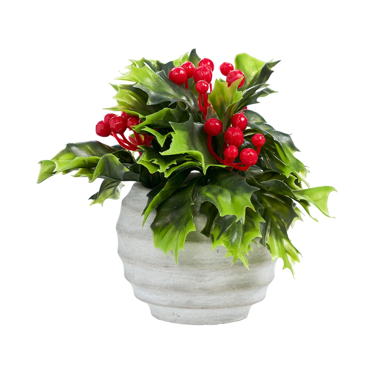 Christmas Potted Holly Small Assorted