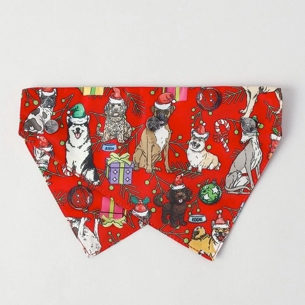 Kenji Pet Bandana