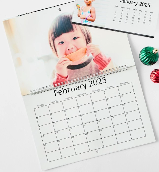 Monthly Wall Calendar 8x12"