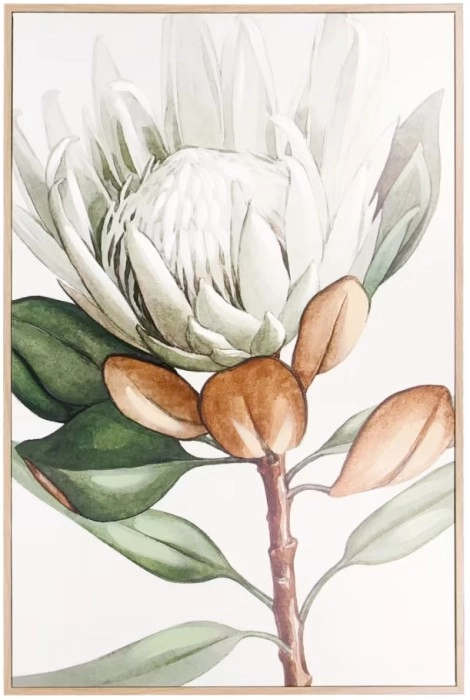 Protea Floral Framed Canvas