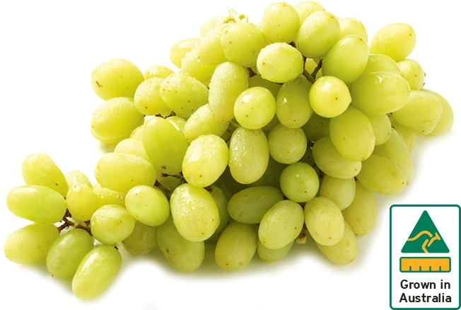 Australian White Seedless Grapes