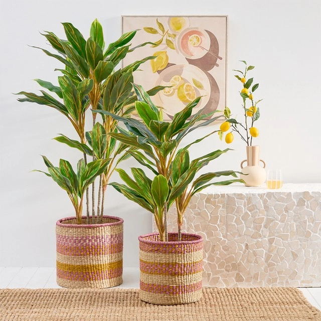 Artificial Tropical Cordyline Plant by M.U.S.E.