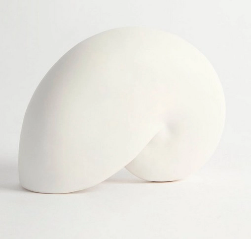 Cora Nautilus Decorative Shell by Habitat