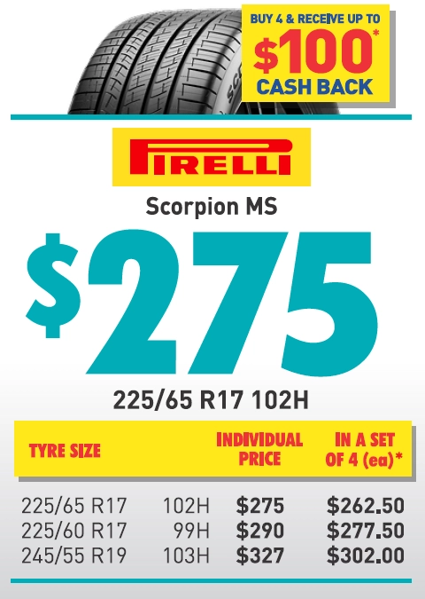 Tyre - Pirelli Scorpion MS