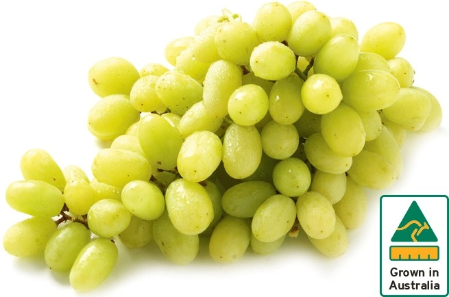 Australian White Seedless Grapes