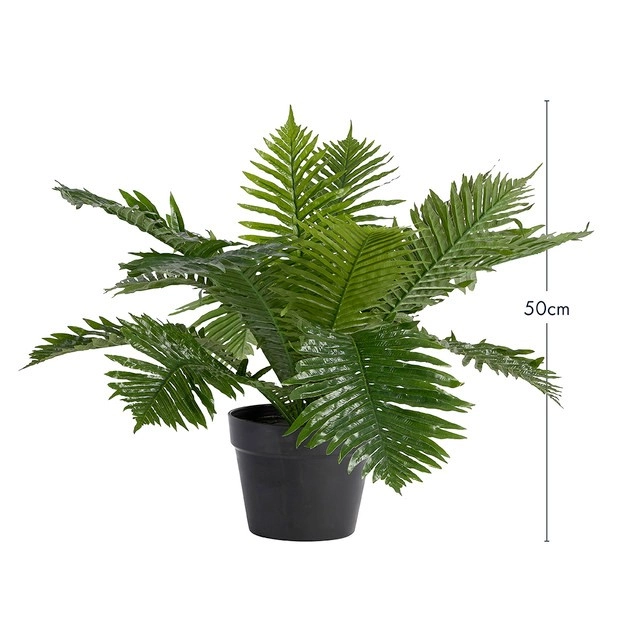 Artificial Lady Fern by M.U.S.E.