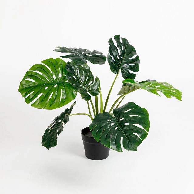 Artificial Small Monstera Plant by M.U.S.E.