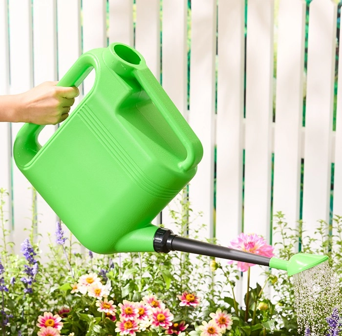 Gardenista Watering Can 8L