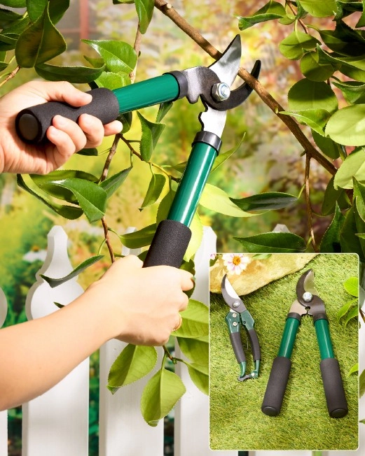 Greenleaf Pruner Set 2 Pack