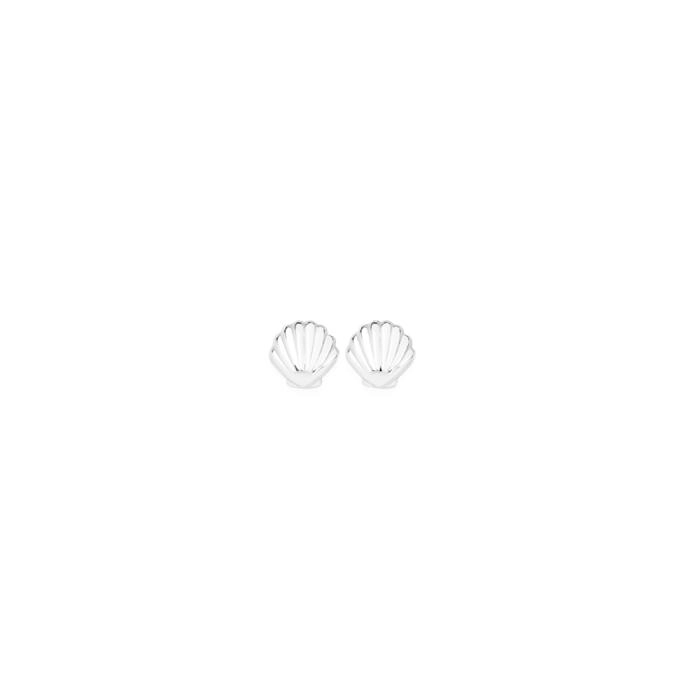 Sterling Silver Polished Clam Shell Studs