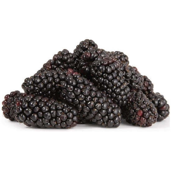 Australian Blackberries 170g Punnet