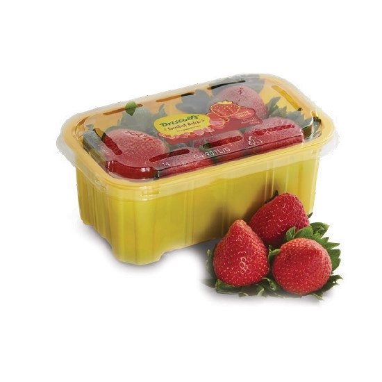 Australian Sweetest Batch® Premium Strawberries 300g Punnet