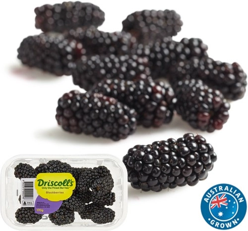 Australian Blackberries 170g Punnet