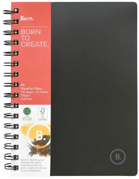 Born A5 120 Page Visual Art Diary