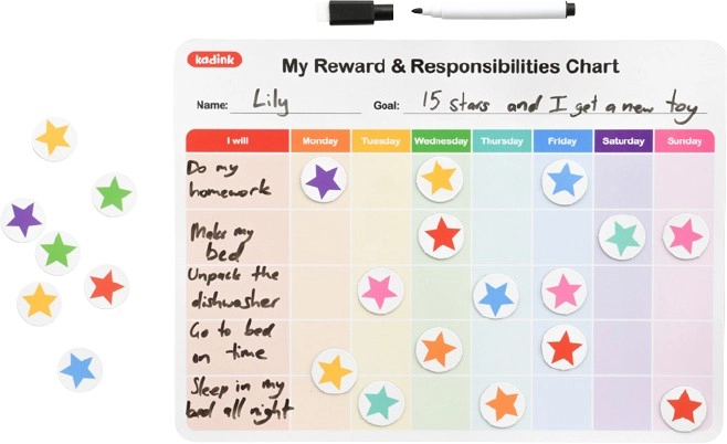 Kadink Magnetic Reward and Responsibility Chart